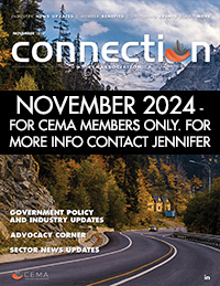 Cover of the Newsletter - November 2024 newsletter